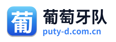 葡萄牙队